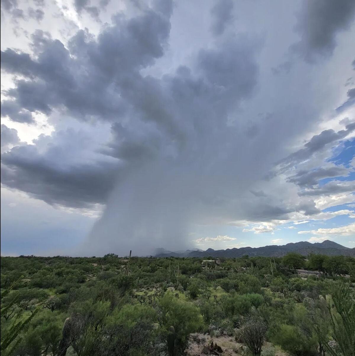 Luxury 3Bd 2Ba Home Near Tucson With Desert Views - Low Summer Rates! Oro Valley Ngoại thất bức ảnh
