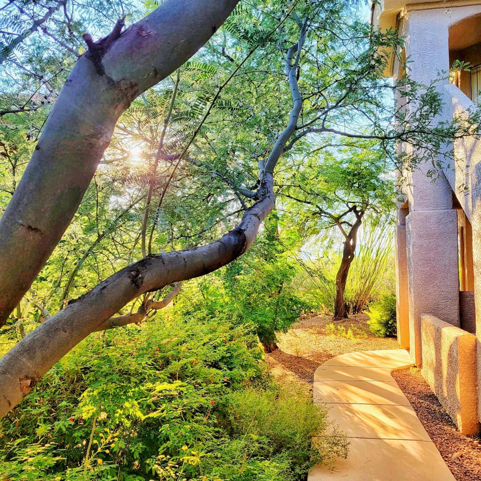 Luxury 3Bd 2Ba Home Near Tucson With Desert Views - Low Summer Rates! Oro Valley Ngoại thất bức ảnh